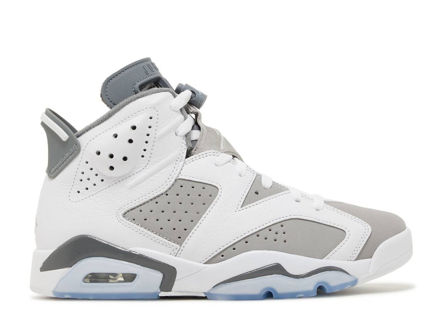 Jordan 6 Retro Cool Grey (WORN)