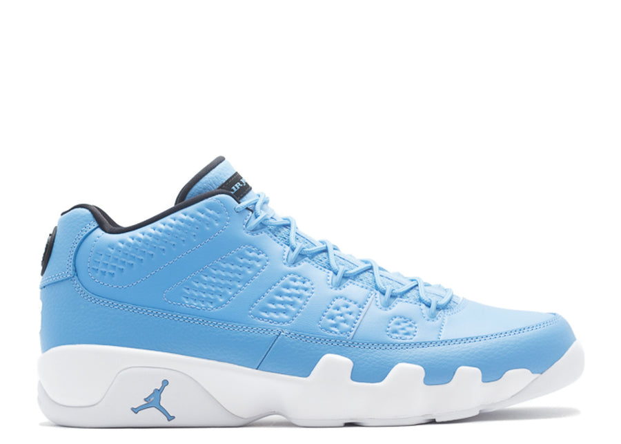 Jordan 9 Retro Low Pantone