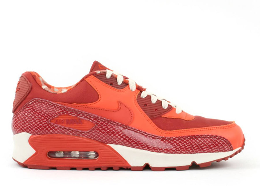 Nike Air Max 90 Steve Nash