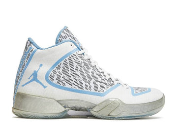 Jordan XX9 Pantone (WORN)