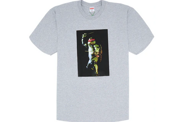 Supreme Raphael Tee Heather Grey