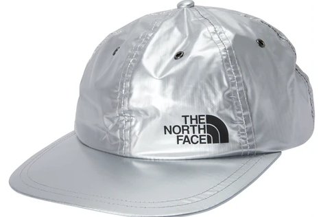 Supreme The North Face Metallic 6-Panel Silver